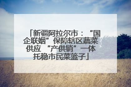 新疆阿拉尔市：“国企联姻”保障辖区蔬菜供应 “产供销”一体托稳市民菜篮子