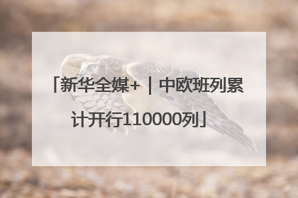 新华全媒+｜中欧班列累计开行110000列