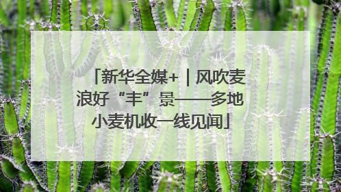 新华全媒+｜风吹麦浪好“丰”景——多地小麦机收一线见闻