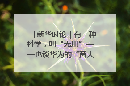 新华时论｜有一种科学，叫“无用”——也谈华为的“黄大年茶思屋”