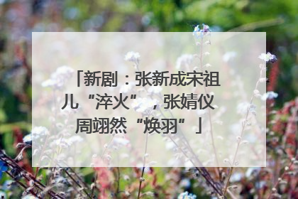 新剧：张新成宋祖儿“淬火”，张婧仪周翊然“焕羽”