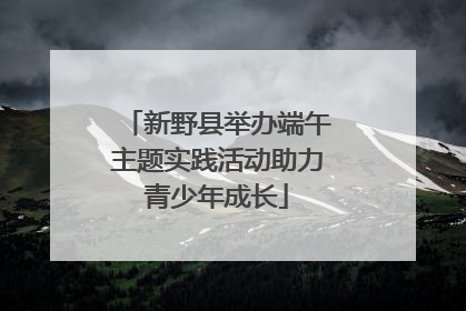 新野县举办端午主题实践活动助力青少年成长