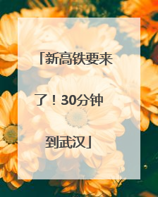 新高铁要来了！30分钟到武汉
