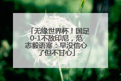 无缘世界杯！国足0-1不敌印尼，范志毅语塞：早没信心了但不甘心