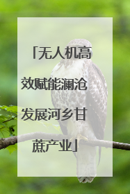 无人机高效赋能澜沧发展河乡甘蔗产业