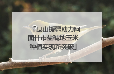 昆山援疆助力阿图什市盐碱地玉米种植实现新突破