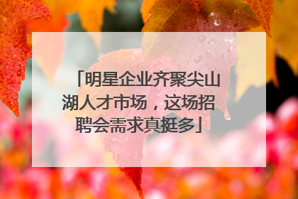 明星企业齐聚尖山湖人才市场，这场招聘会需求真挺多