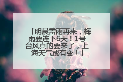 明晨雷雨再来，梅雨要连下6天！1号台风真的要来了，上海天气或有变！
