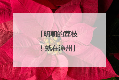 明朝的荔枝！就在漳州