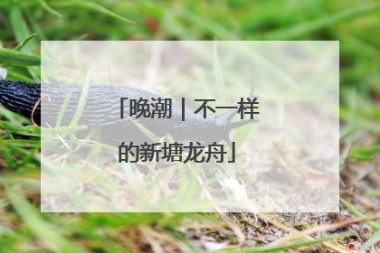 晚潮｜不一样的新塘龙舟