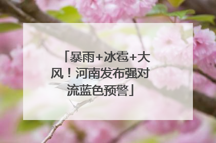 暴雨+冰雹+大风！河南发布强对流蓝色预警