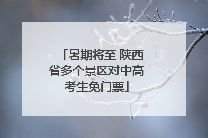暑期将至 陕西省多个景区对中高考生免门票