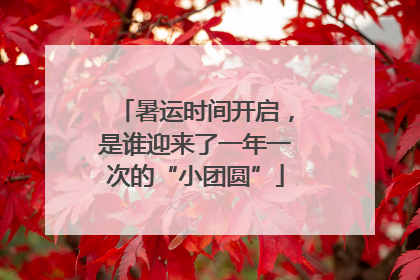 暑运时间开启，是谁迎来了一年一次的“小团圆”