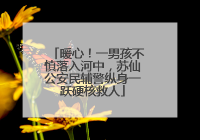 暖心！一男孩不慎落入河中，苏仙公安民辅警纵身一跃硬核救人