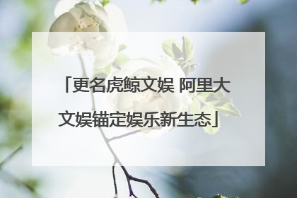 更名虎鲸文娱 阿里大文娱锚定娱乐新生态