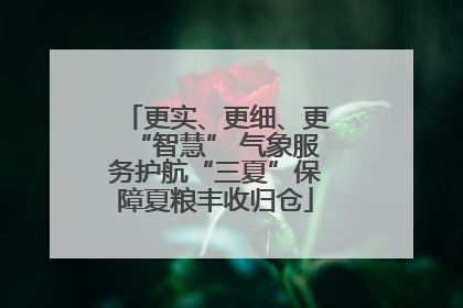 更实、更细、更“智慧” 气象服务护航“三夏”保障夏粮丰收归仓