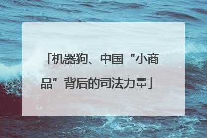 机器狗、中国“小商品”背后的司法力量