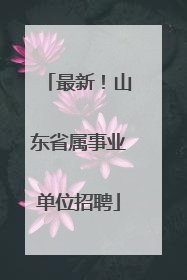 最新！山东省属事业单位招聘