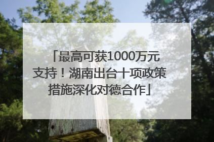 最高可获1000万元支持！湖南出台十项政策措施深化对德合作