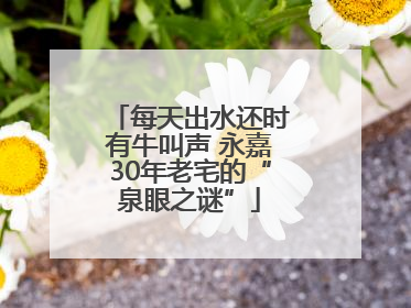 每天出水还时有牛叫声 永嘉30年老宅的“泉眼之谜”