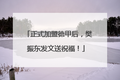 正式加盟德甲后，樊振东发文送祝福！