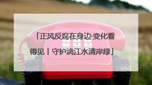 正风反腐在身边·变化看得见丨守护漓江水清岸绿
