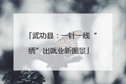 武功县：一针一线“绣”出就业新图景