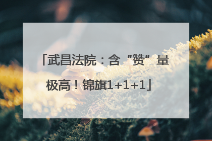武昌法院：含“赞”量极高！锦旗1+1+1