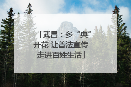武昌：多“典”开花 让普法宣传走进百姓生活