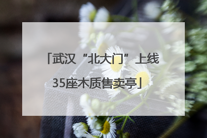 武汉“北大门”上线35座木质售卖亭