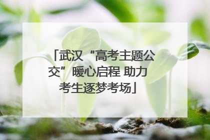 武汉“高考主题公交”暖心启程 助力考生逐梦考场