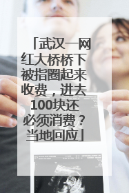 武汉一网红大桥桥下被指圈起来收费，进去100块还必须消费？当地回应