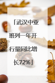 武汉中亚班列一年开行量同比增长72%