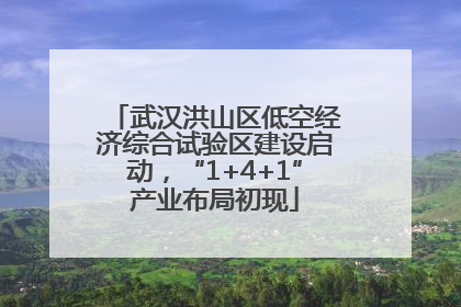 武汉洪山区低空经济综合试验区建设启动，“1+4+1”产业布局初现
