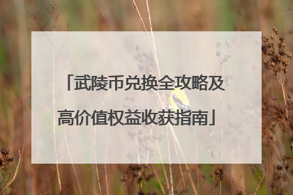 武陵币兑换全攻略及高价值权益收获指南