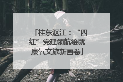 桂东沤江：“四红”党建领航绘就康氧文旅新画卷