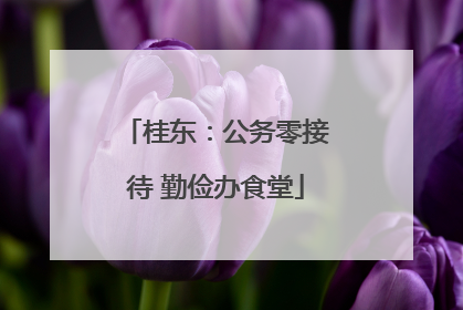 桂东：公务零接待 勤俭办食堂