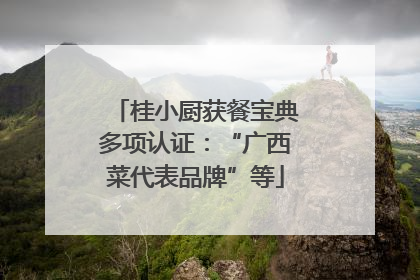 桂小厨获餐宝典多项认证：“广西菜代表品牌”等