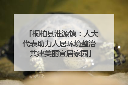 桐柏县淮源镇：人大代表助力人居环境整治 共建美丽宜居家园