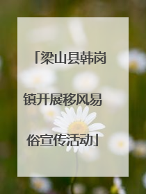 梁山县韩岗镇开展移风易俗宣传活动