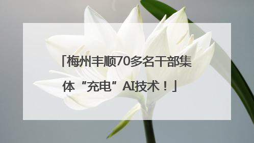 梅州丰顺70多名干部集体“充电”AI技术！