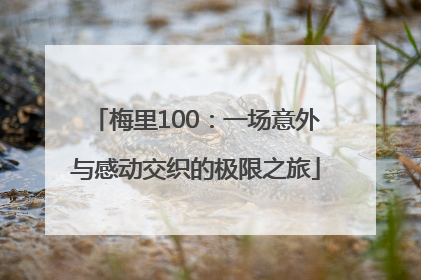 梅里100：一场意外与感动交织的极限之旅