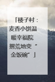 楼子村：麦香小饼温暖幸福院 撂荒地变“金饭碗”