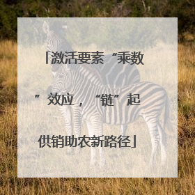 激活要素“乘数”效应，“链”起供销助农新路径