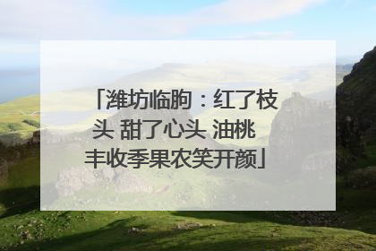 潍坊临朐：红了枝头 甜了心头 油桃丰收季果农笑开颜