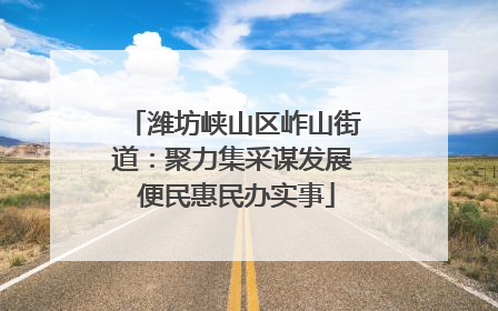 潍坊峡山区岞山街道：聚力集采谋发展 便民惠民办实事