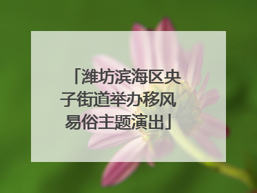 潍坊滨海区央子街道举办移风易俗主题演出