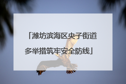 潍坊滨海区央子街道多举措筑牢安全防线