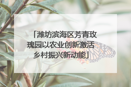 潍坊滨海区芳青玫瑰园以农业创新激活乡村振兴新动能