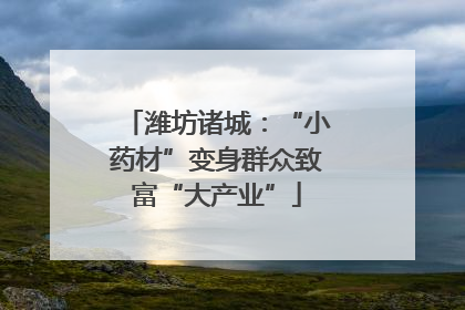 潍坊诸城：“小药材”变身群众致富“大产业”
